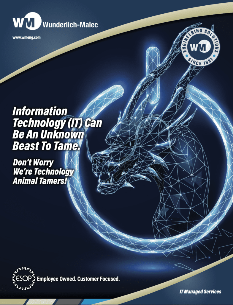 PDF cover image - Information Technology (IT) Can Be An Unknown Beast To Tame A digital illustration of a dragon made of glowing blue lines is surrounded by a partial circle. Text reads, "Information Technology (IT) Can Be An Unknown Beast To Tame. Don’t Worry, We’re Technology Animal Tamers!" Logos and branding are also visible.