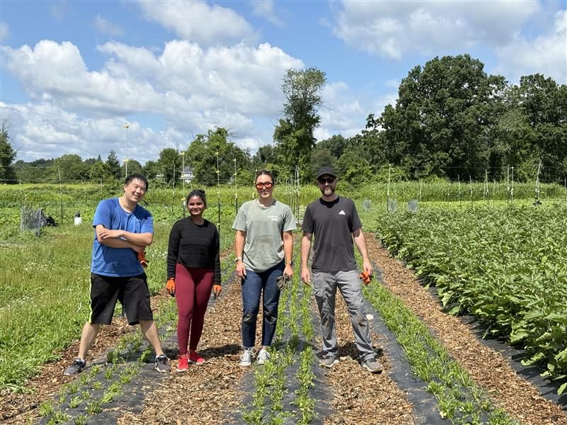 Four people stand smiling in a row on a sunny day in a vegetable garden, surrounded by green plants and trees under a blue sky with white clouds.